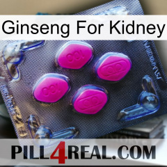 Ginseng For Kidney 02